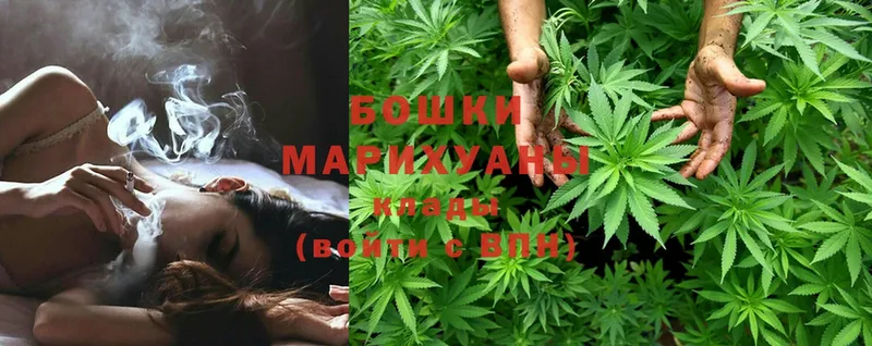 сколько стоит  Западная Двина  Марихуана White Widow 